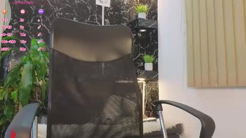 D Y L A N online show from 25, 4, 2026