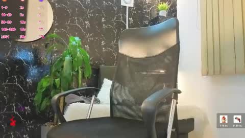 D Y L A N online show from 26, 4, 2026