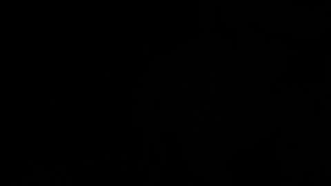 ---DYLAN--- online show from 11, 3, 2025