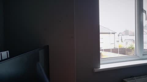 Nadia Ferreira  online show from 17, 3, 2026