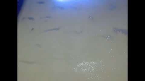 eatuupx online show from 5, 12, 2025