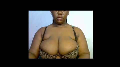 Prisy online show from 15, 4, 2026