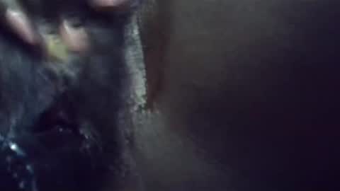 Snapshot of ebonykiki chatting on 23, 1, 2025 ebonykiki online show from 23, 1, 2025