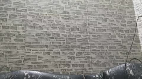 edithmanning online show from 15, 1, 2025