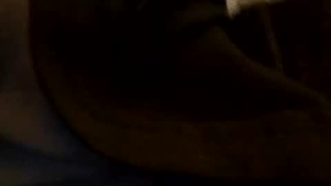 edmore1215 online show from 5, 1, 2025