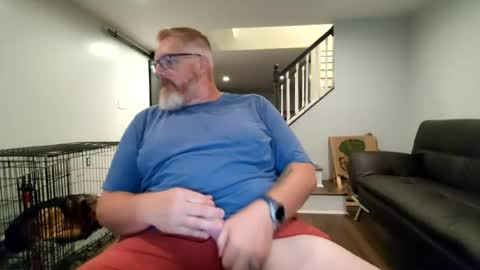 Eddya online show from 7, 8, 2026
