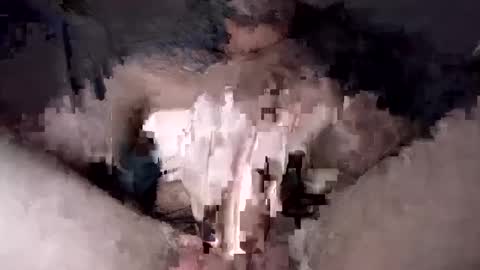 Dan online show from 1, 2, 2025