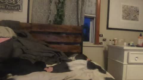 eggnog_and_booty online show from 27, 7, 2026
