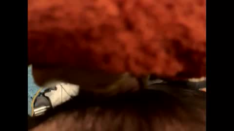 ehdgher online show from 6, 11, 2025