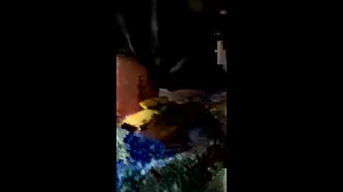 ehdgher online show from 27, 2, 2026