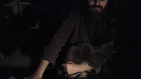 eighthundredeightyeight online show from 28, 2, 2026