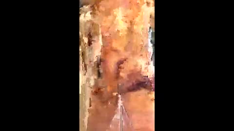 Snapshot of eirickr chatting on 6, 1, 2026 eirickr online show from 6, 1, 2026