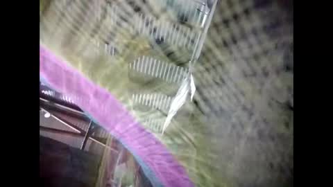 eirma7991 online show from 25, 2, 2026