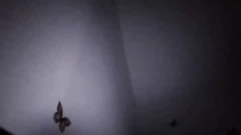 Snapshot of ekspansion chatting on 8, 1, 2026 Ekspansion online show from 8, 1, 2026