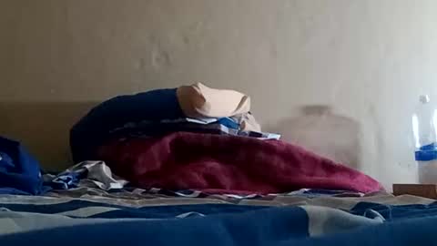 Snapshot of el131140 chatting on 5, 1, 2025 Sebastin online show from 5, 1, 2025