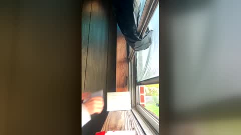 el2ra33fa online show from 5, 4, 2026