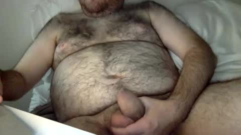 elabear online show from 3, 6, 2026