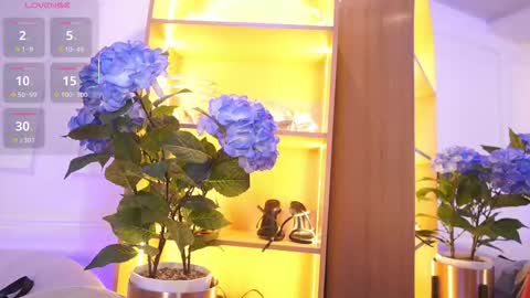 Snapshot of elasummeer chatting on 20, 11, 2025 Elasummeer online show from 20, 11, 2025