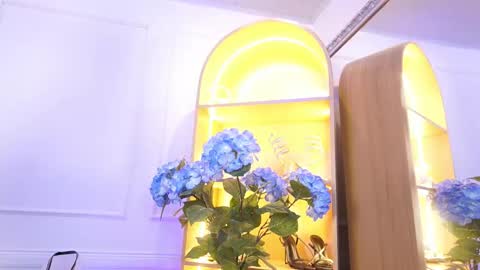 Elasummeer online show from 22, 12, 2025