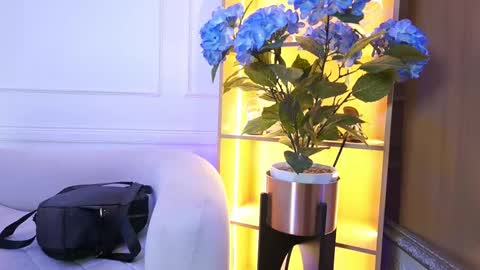 Elasummeer online show from 13, 1, 2026