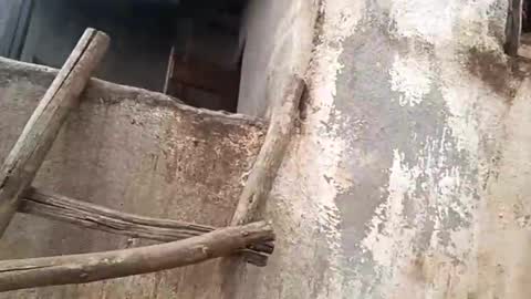 eldie69 online show from 29, 11, 2025