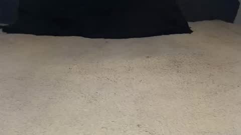 elgsslt online show from 23, 4, 2026