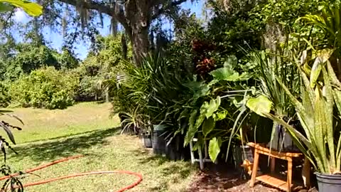 Snapshot of eliberator chatting on 16, 5, 2026 eliberator online show from 16, 5, 2026