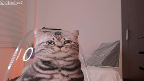 Eli online show from 7, 12, 2024