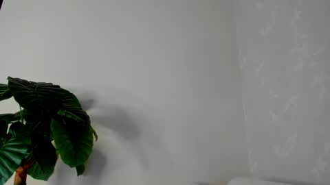 My name is ElizaPVT is open online show from 22, 2, 2025