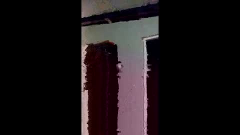 elizabit online show from 4, 3, 2026