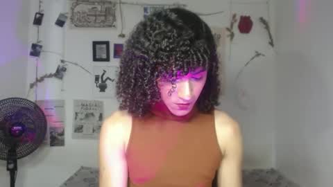  . online show from 24, 2, 2026