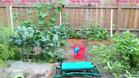 Ella Bella Bo Bella online show from 22, 7, 2026