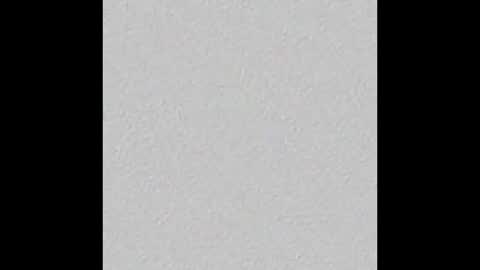 Zeki online show from 13, 3, 2026