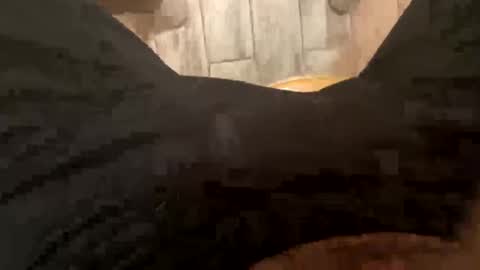 Snapshot of elparador chatting on 8, 12, 2024 El Parador online show from 8, 12, 2024