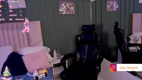 Snapshot of elsiemorriis chatting on 13, 12, 2024 ELSIE online show from 13, 12, 2024