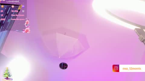 Snapshot of elsiemorriis chatting on 23, 12, 2024 ELSIE online show from 23, 12, 2024