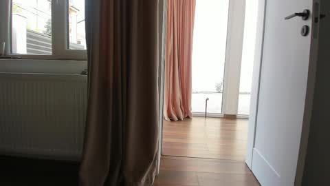 Ely online show from 22, 4, 2026