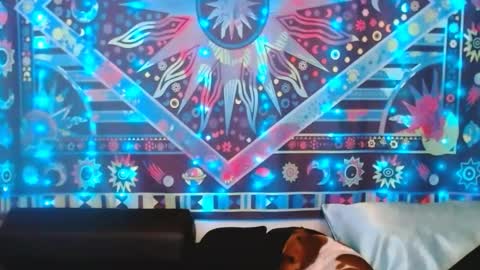 Ember Starleena online show from 24, 2, 2025