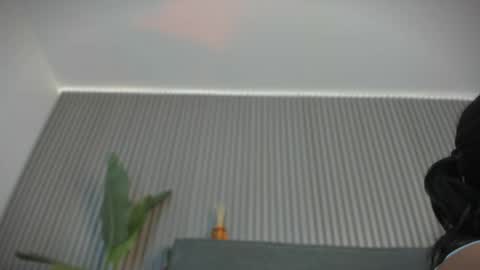 emelie_89 online show from 3, 6, 2026