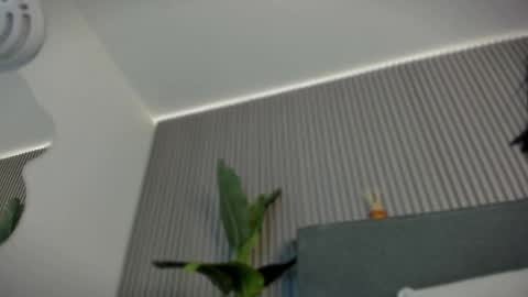 emelie_89 online show from 6, 6, 2026