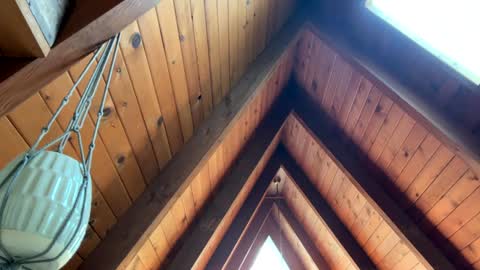 popalottapuss - puddin tits - daddy - buttercup - bonfire - Mrs. Fuck Yea - hibeams - honey buns - online show from 13, 4, 2026