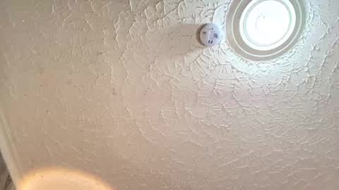 Emiily Carter online show from 29, 9, 2025