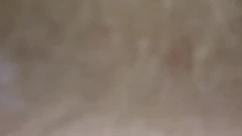 Snapshot of emilmirror chatting on 11, 2, 2025 emilmirror online show from 11, 2, 2025