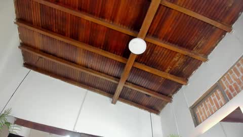 Emily  online show from 5, 11, 2025