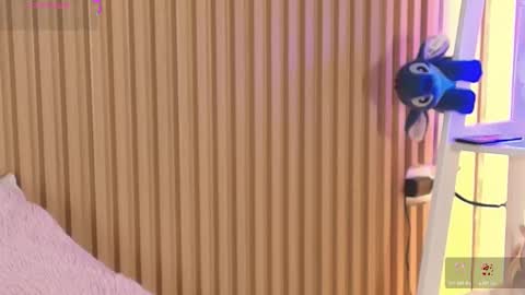 Emily online show from 20, 3, 2026