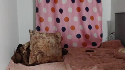 Emilly online show from 6, 7, 2026