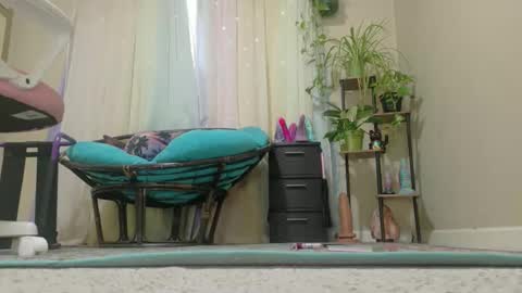 emily haze online show from 25, 4, 2026