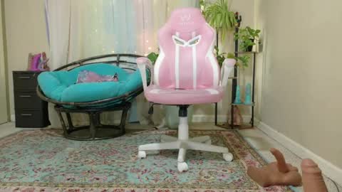 emily haze online show from 23, 7, 2026
