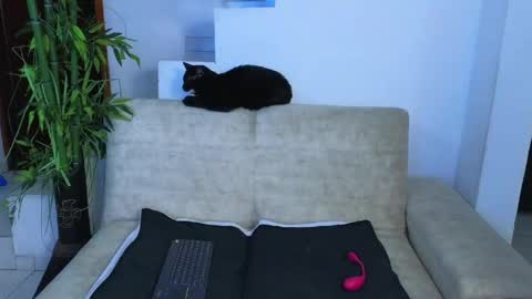 Emma Blue  modelo independiente online show from 23, 4, 2026