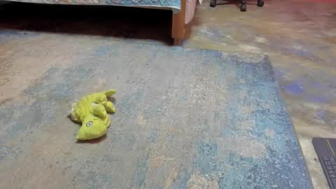 whises lits        online show from 21, 2, 2025